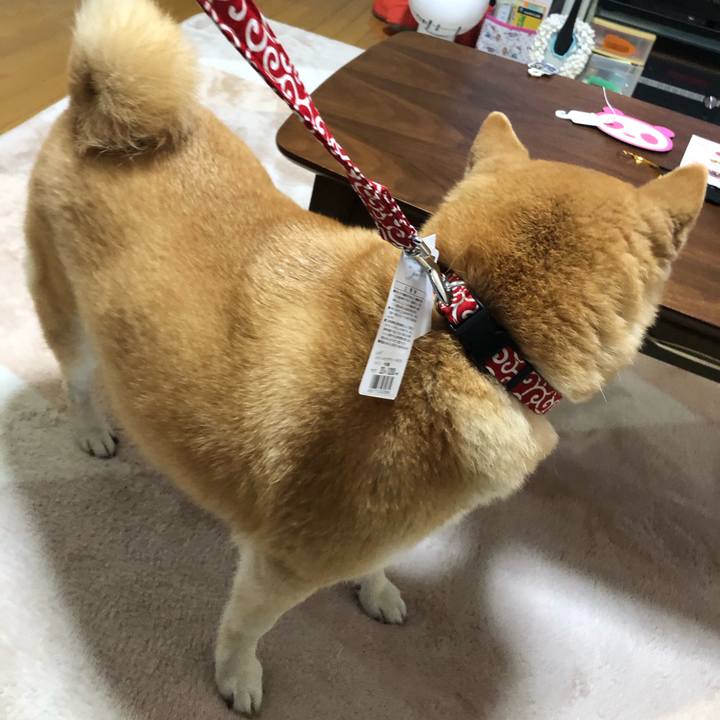 37b07211 43db 47fd 8281 b6f5d2d29e9c 1587625390632