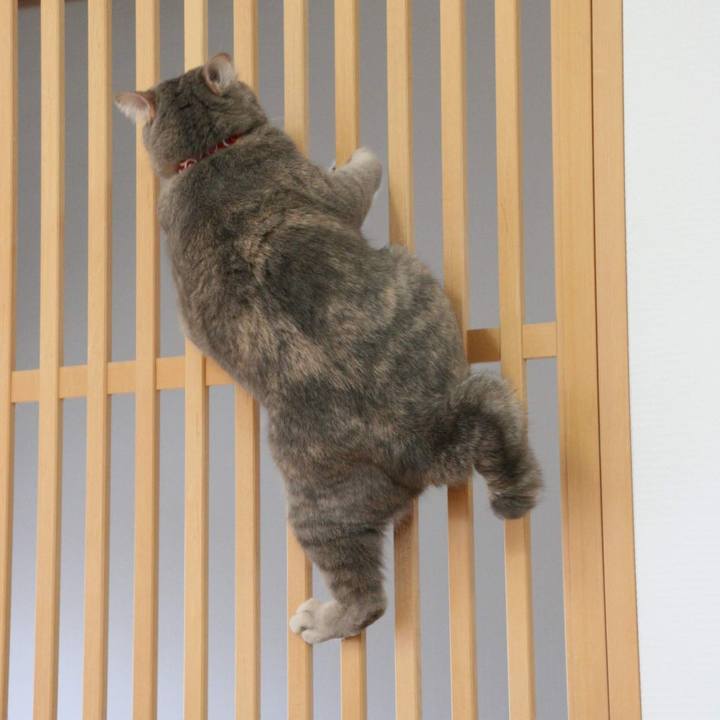 37b08457 9631 410a 92c4 c5d082a916e9 1537857301828