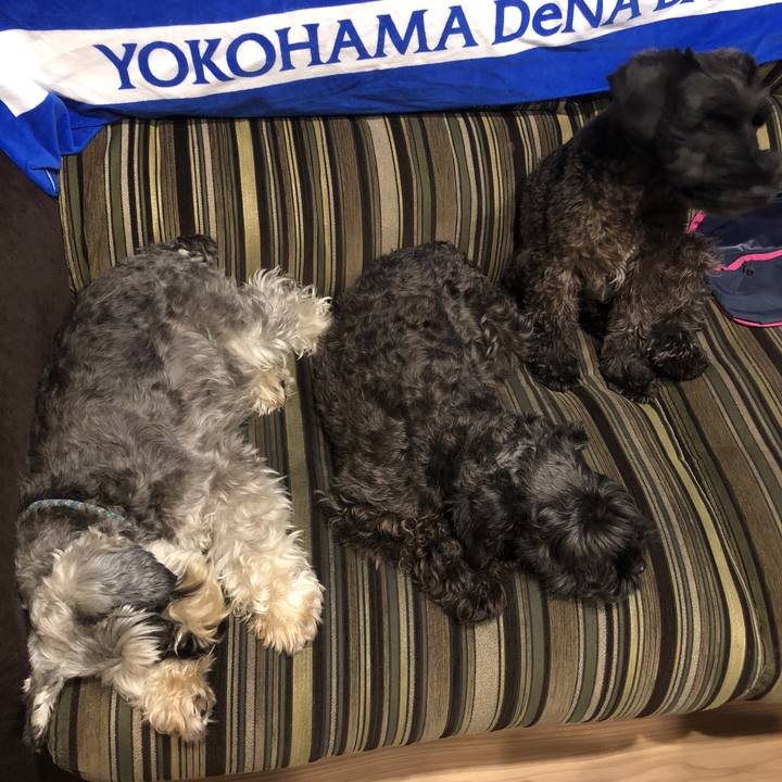 37b0d670 ade1 40f5 985e 41149399f5a3 1535377509558