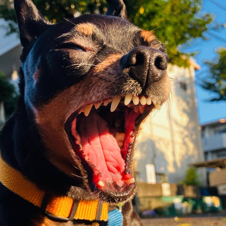 37b0e3e8 ce65 47d9 ab46 5ddb9669544a 1724507353660