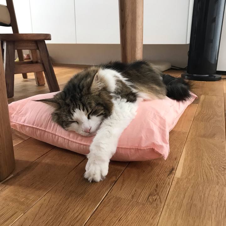 37b0eb3a d6ab 4e3d 81db 1d58fdcd1e2d 1559961060269