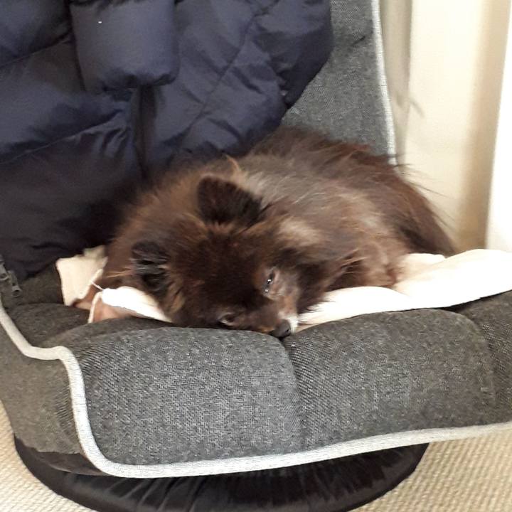 37b0fca9 def7 4757 bd1e 567c2b8b6789 1517982852012