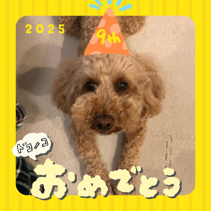 37b1106f a578 47b5 ab67 646c32c166b6 1749340036313