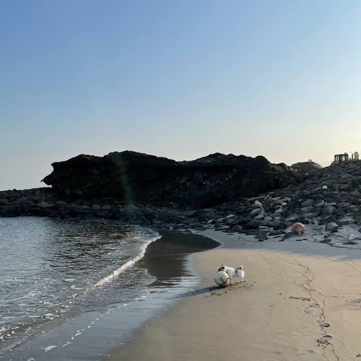 37b11a60 ba03 4c83 b693 0a3e517f811a 1613952142045