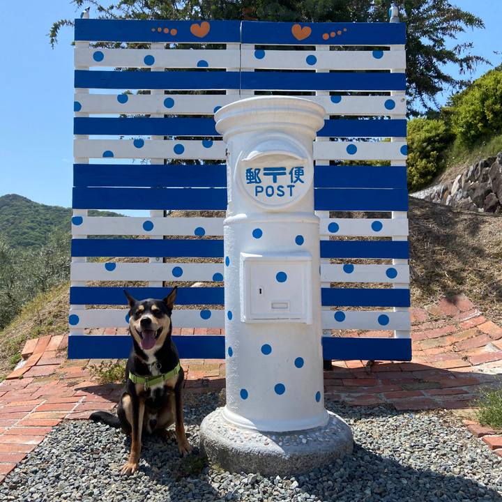 37b12f35 dcf9 44da a365 54c483daaa92 1619264296807