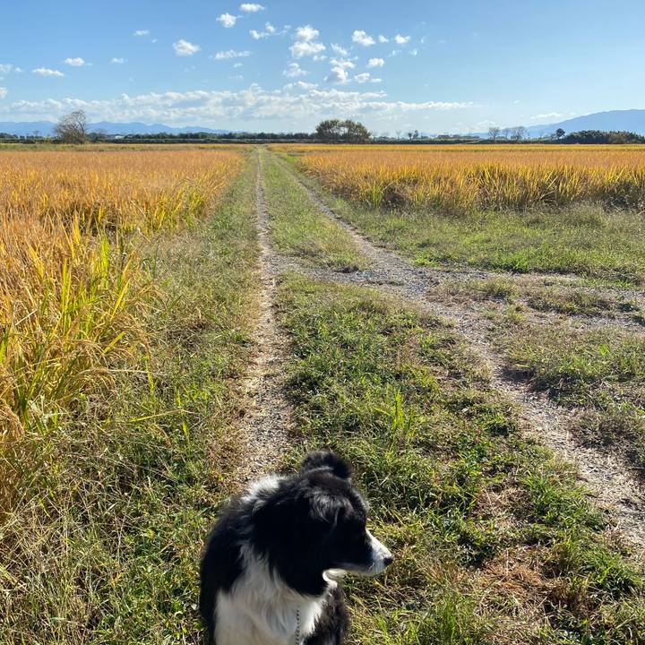 37b14d41 b882 4b5f a82c 93034584db55 1634950611490