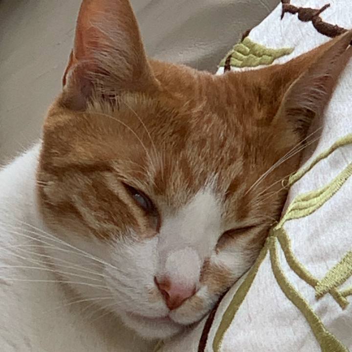 37b16235 e380 4c70 aff1 554e1444837f 1570090019109