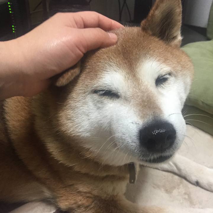 37b17f6b 9c5c 4731 91ca 7d638ec27511 1520238736449