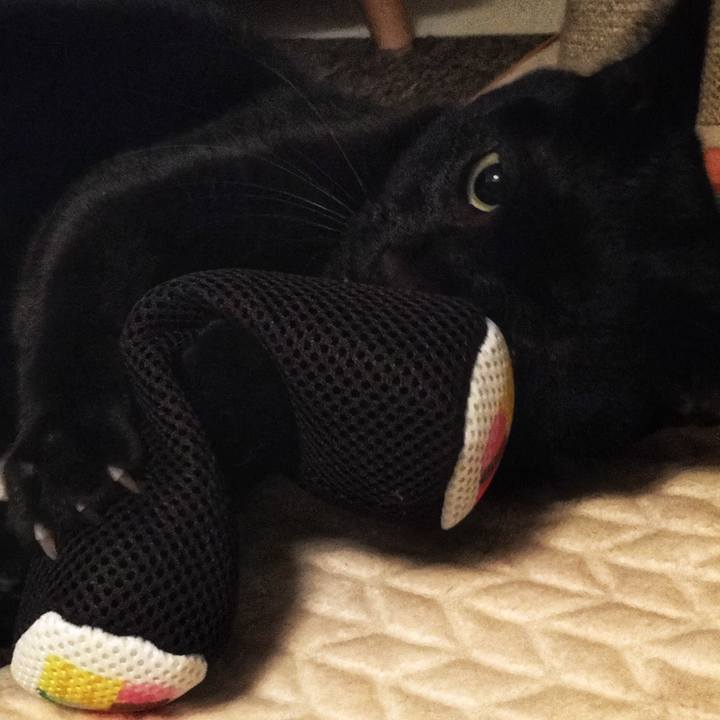 37b1b367 3a9d 40d0 967c ac6ae39701ed 1517658308647