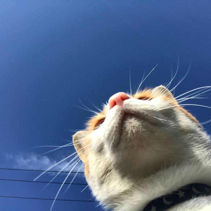 37b1c66d ac9a 479e 9431 f95b726ec398 1508284353726