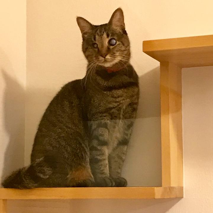 37b1cb31 f2ad 41b2 bcb2 451c10f3d93c 1546251180923