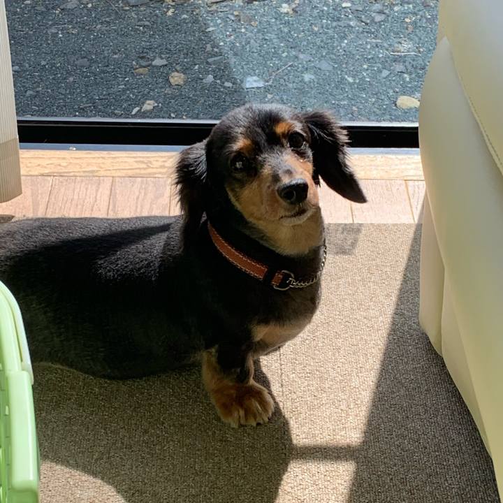 37b1f558 6dd5 4f95 baa3 8a3e1532f8da 1600739322491