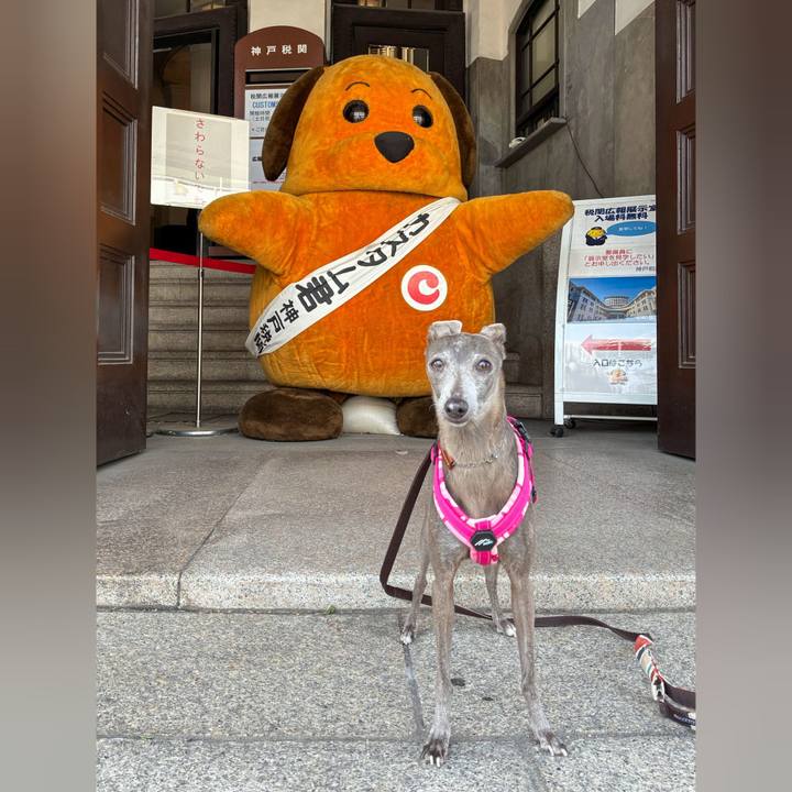 37b1fd79 9772 411f af1a 2f0518aefc37 1774686990459