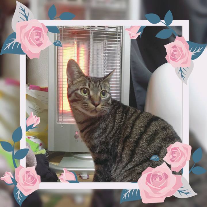 37b202ed 332e 4440 a271 881f60948596 1549976887735