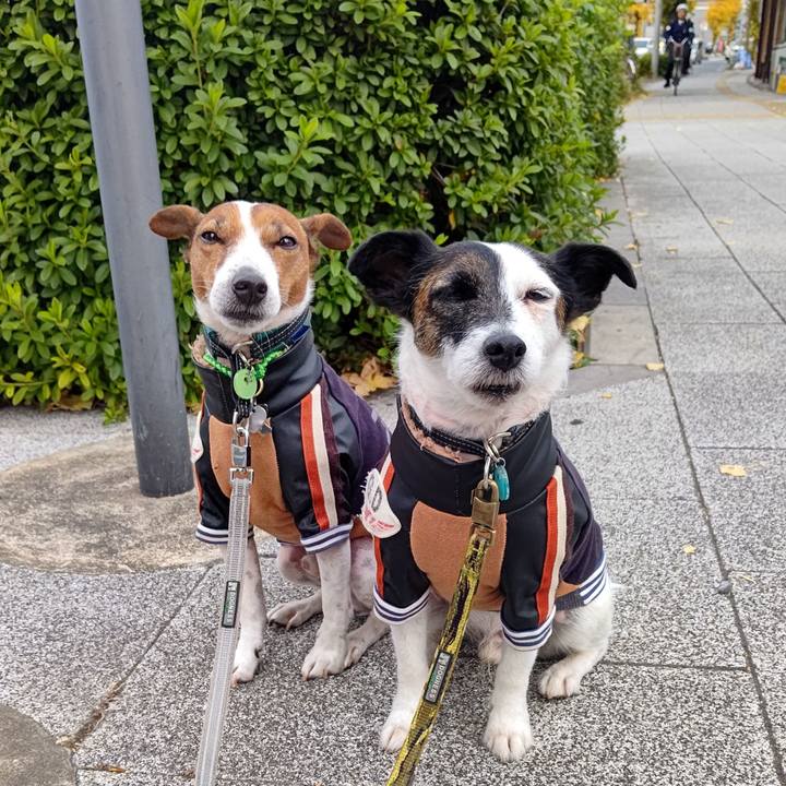 37b224af 294f 4ba7 b9fd 30ab5d5a2fb2 1701729146041