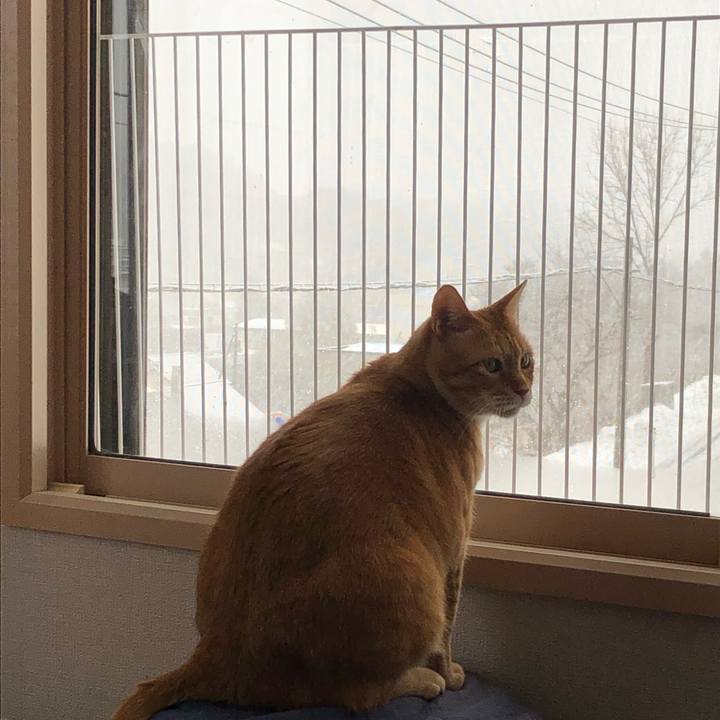 37b228af 68c4 4f9b 9719 2e977c046416 1637975462395