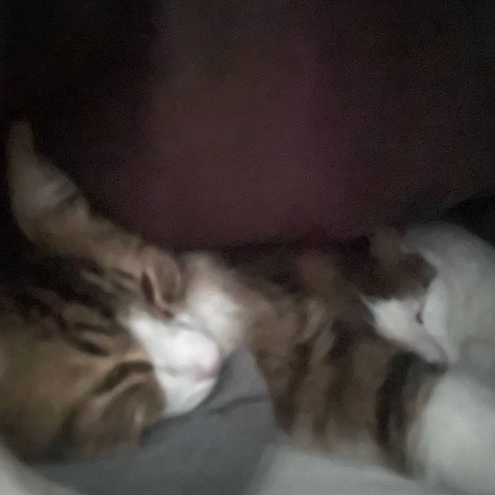 37b29e95 d503 4a76 8280 c8607abbb74e 1765668194174