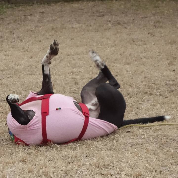 37b2ac8d 94c8 4639 b859 7cc4fa11ffce 1676246830606