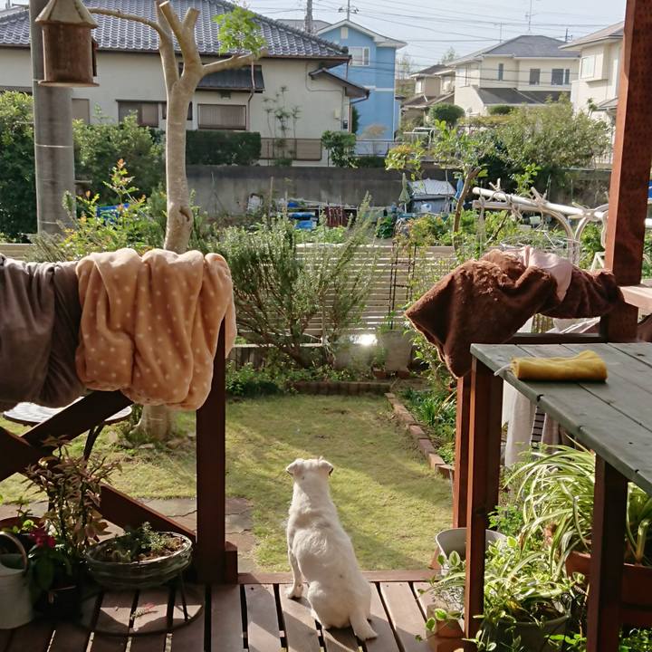 37b2bfb6 f273 406f b875 784f5caed387 1572746810481