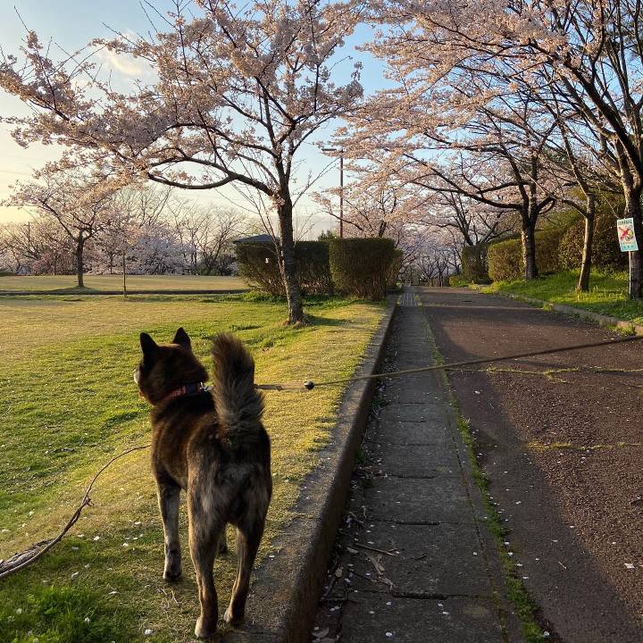 37b2f623 c416 47a3 add1 0879ed5821ae 1617631273173