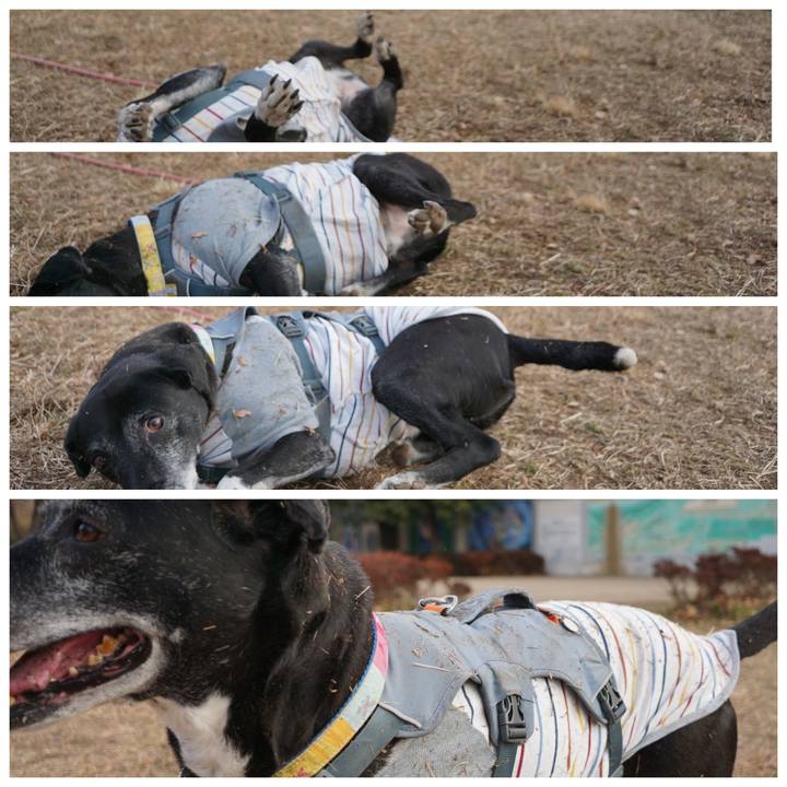 37b314b5 c2f0 4ac3 9bb6 9116a271ea4a 1768784158966