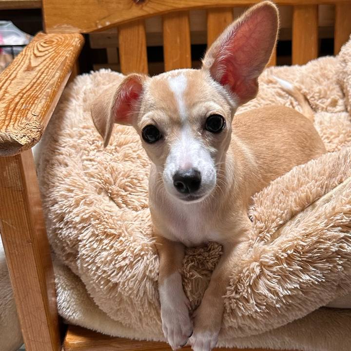 37b32079 29d9 447b ab53 2678a87f51db 1665752452701