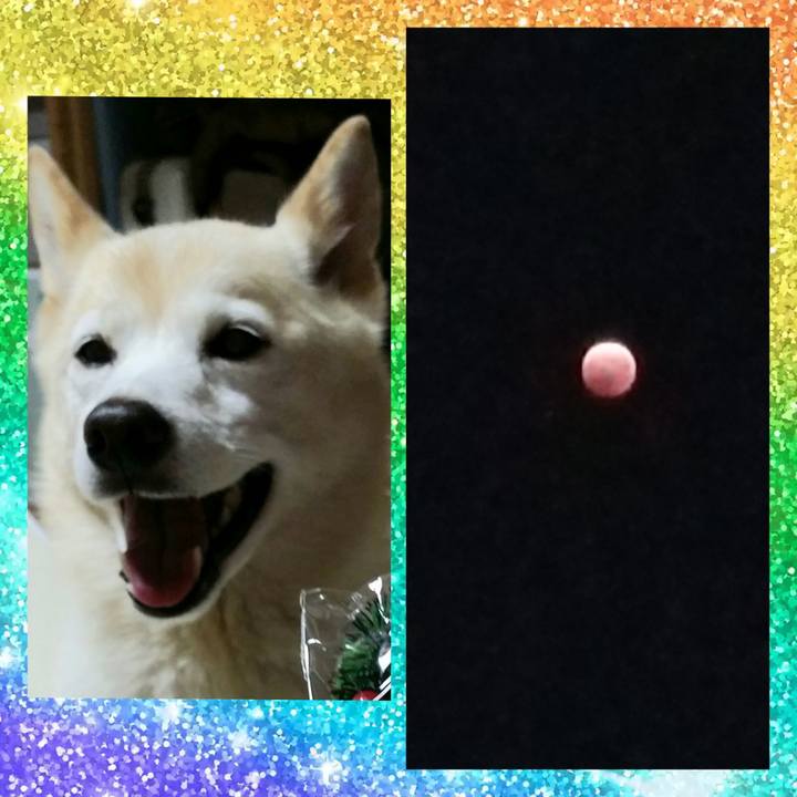 37b32f54 d4ca 456c af70 9bce2be7ae96 1667908428616