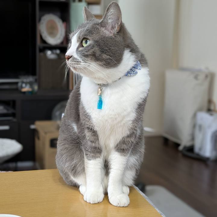 37b33ca5 fe22 4518 8940 7803897837d5 1743994639206