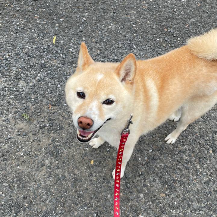 37b364a8 e59c 4e50 9fc2 56b117b7760e 1747827457440