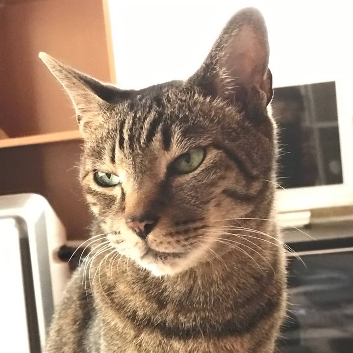 37b36607 7945 46e7 8fcf f2054fbadb6b 1528679949345