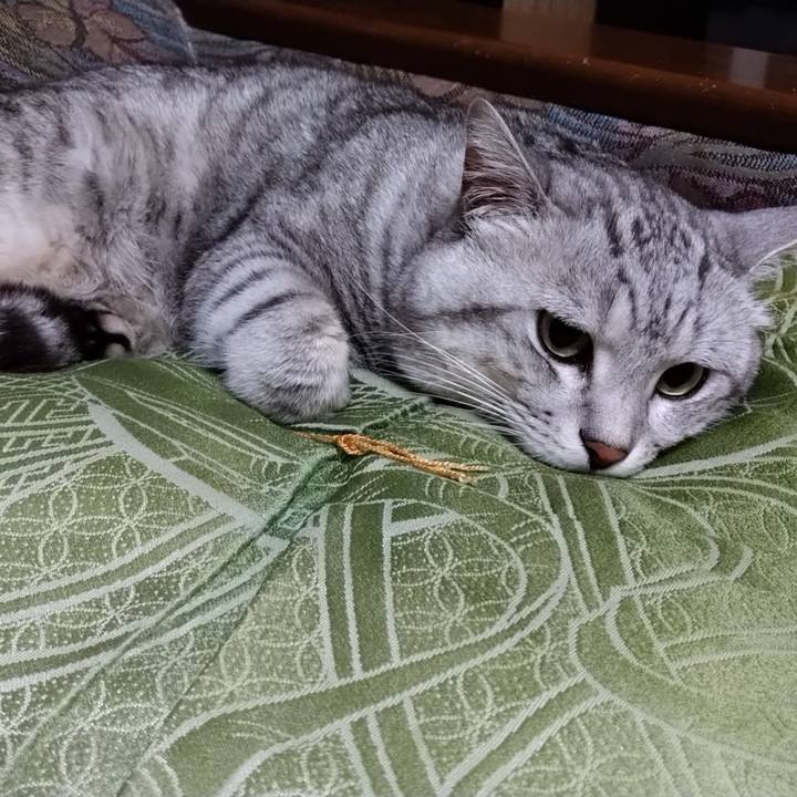 37b378a4 7d27 4e9f a0db 6c6816bf2b8b 1630249819677