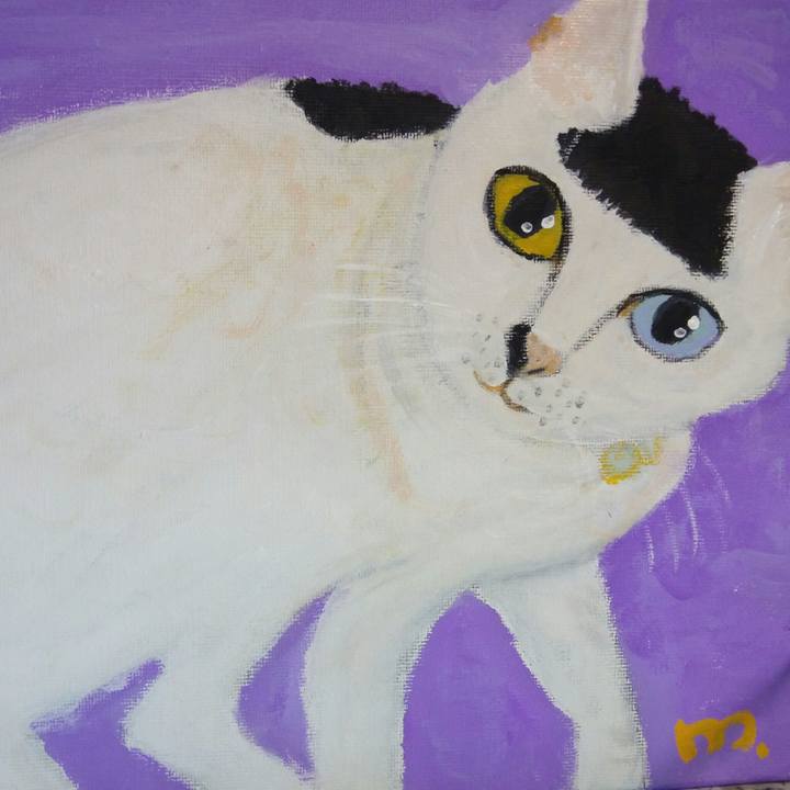 37b37a4c d0c4 4a78 ad7d de81fafc6803 1508762503155