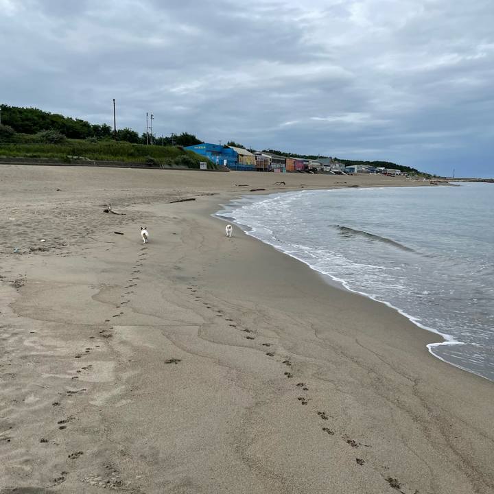 37b3ad82 bcbe 4ae7 a0d1 1f78f4f08859 1661300283911