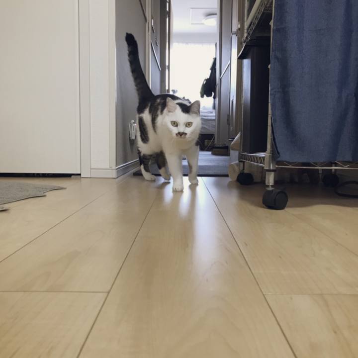 37b3ca2c 437f 4b29 bb81 8c8eda165ada 1539751568829