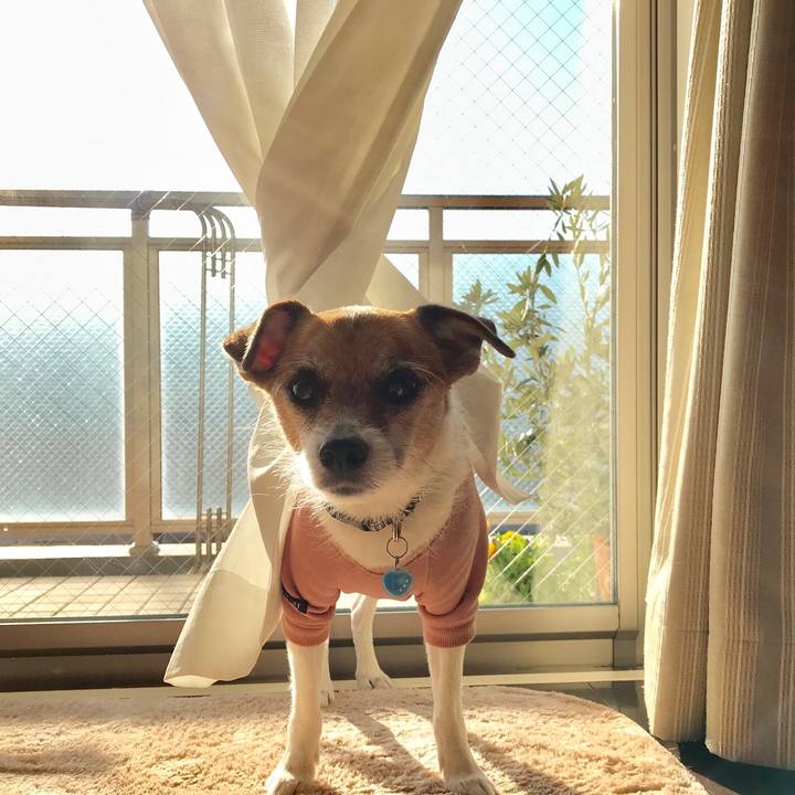 37b3d172 5d62 4940 a347 bf926f9f6a3d 1548719852036