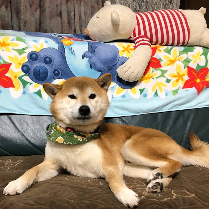 37b3fa80 74c4 4be8 a258 f630148342f5 1549536429514