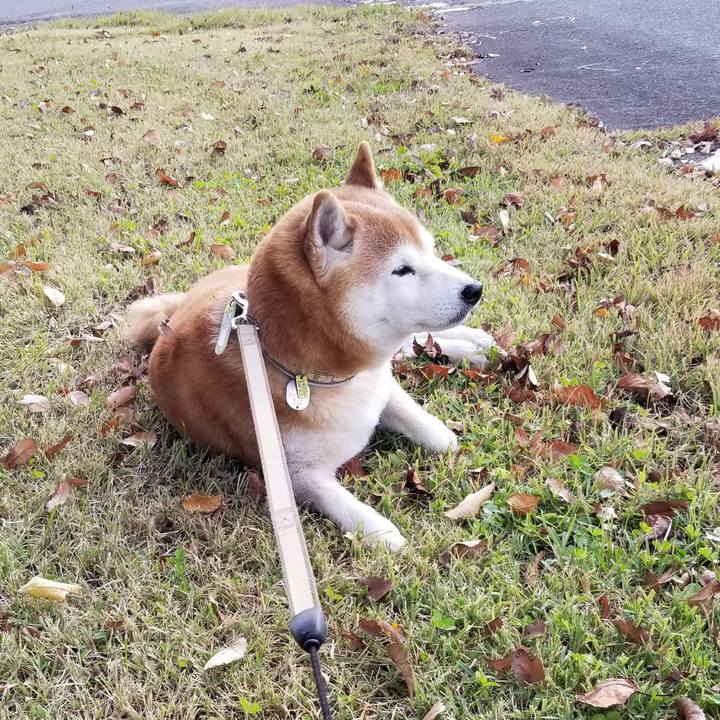 37b422b6 1c9d 466c b2db d0aea10ce73f 1666850785426