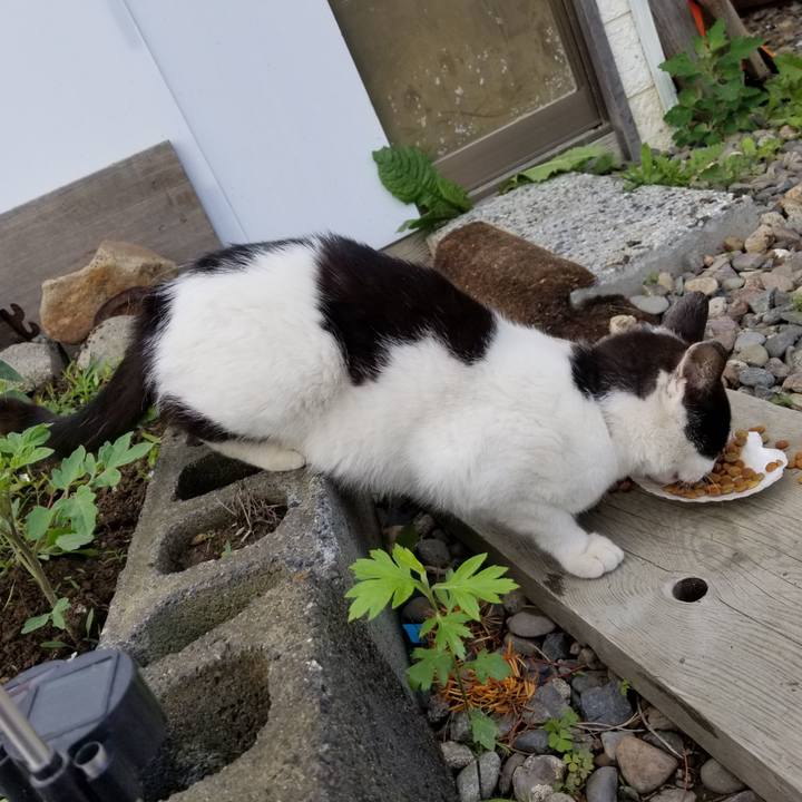 37b453b0 6dfc 41e5 bb93 b6ce73d51e3c 1592746753621