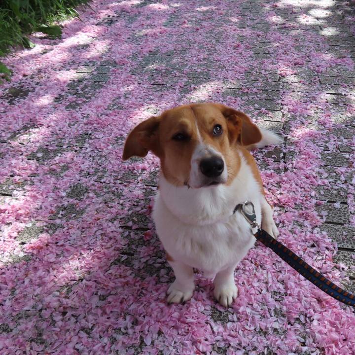 37b479f3 40b8 4521 a69a 8f0804a270df 1618448606296