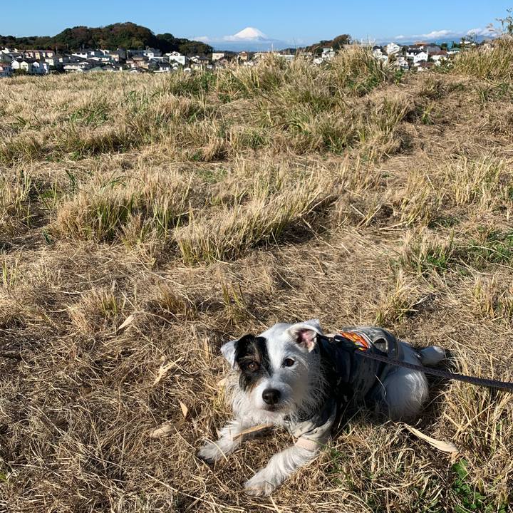 37b50c07 f1a2 4ad5 81a3 dd551b005ecf 1669338274557