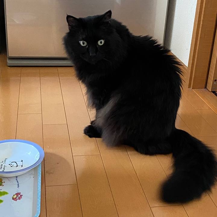 37b51bb3 7b48 40d9 835c c2add861ea16 1623375347281