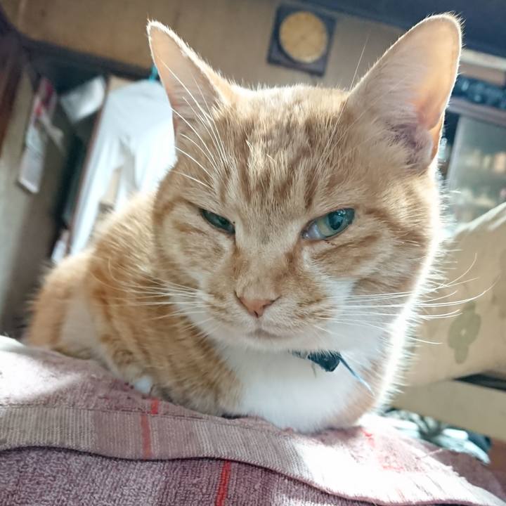 37b5be27 db12 436f b0b1 be411f075f7d 1607206519679