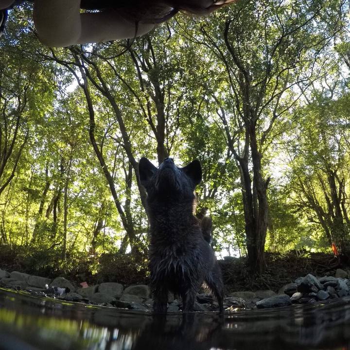 37b5c375 68d6 4041 a3da 2d85056ae8cc 1537448428225