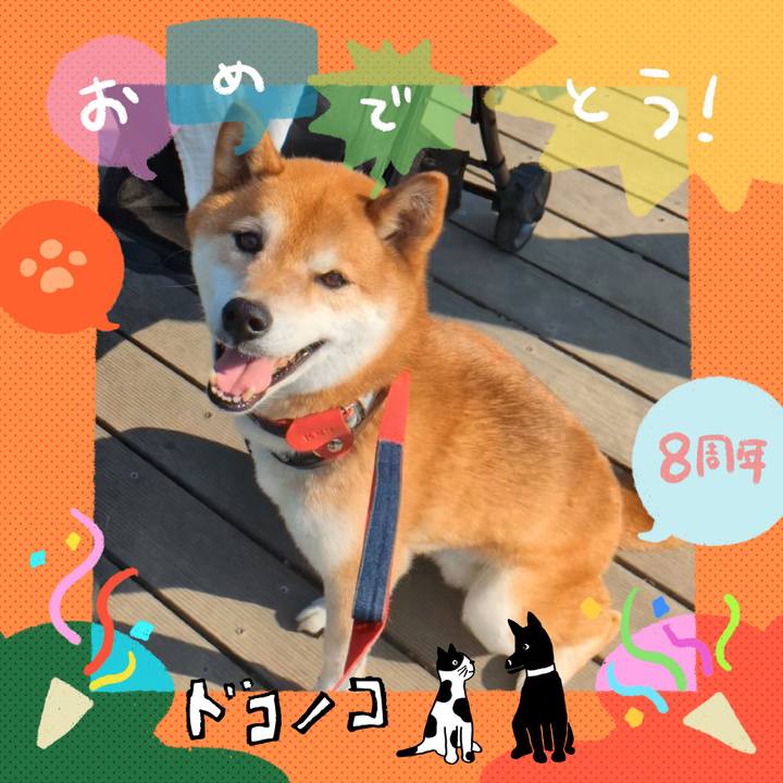 37b5ddf5 ff41 48d1 912e 1f0e3d797020 1717594079854