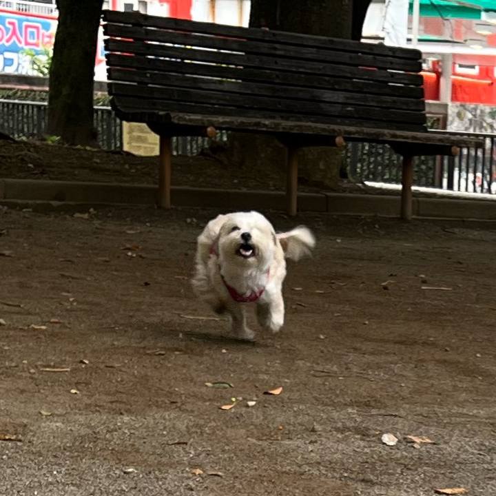 37b5e2f4 5c46 4da4 9ca5 949726ef8248 1758517627372