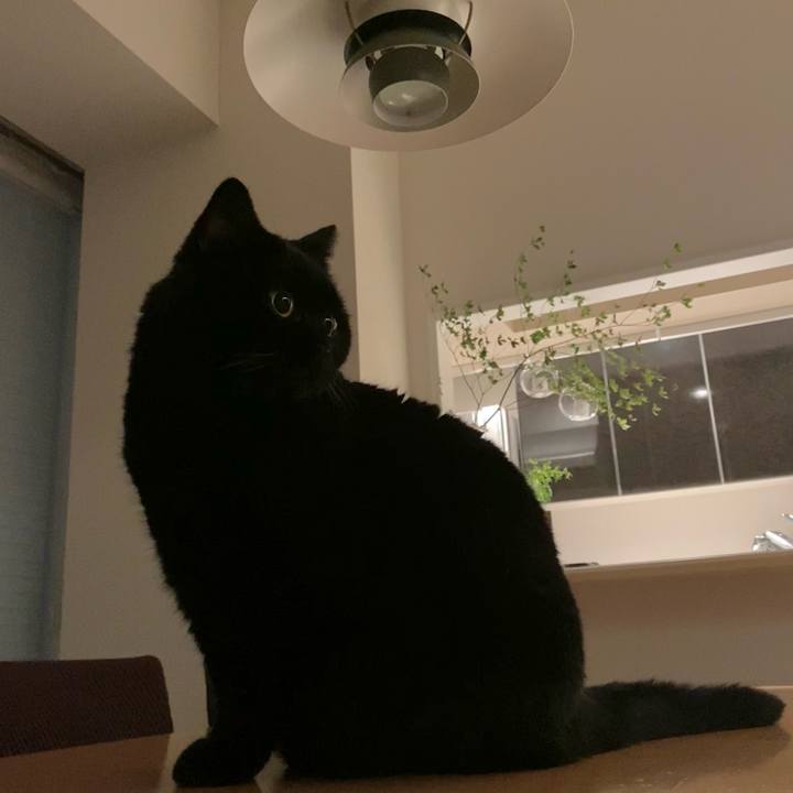 37b5e914 8aa9 47ad 9a0a e918537fcf56 1690375994207