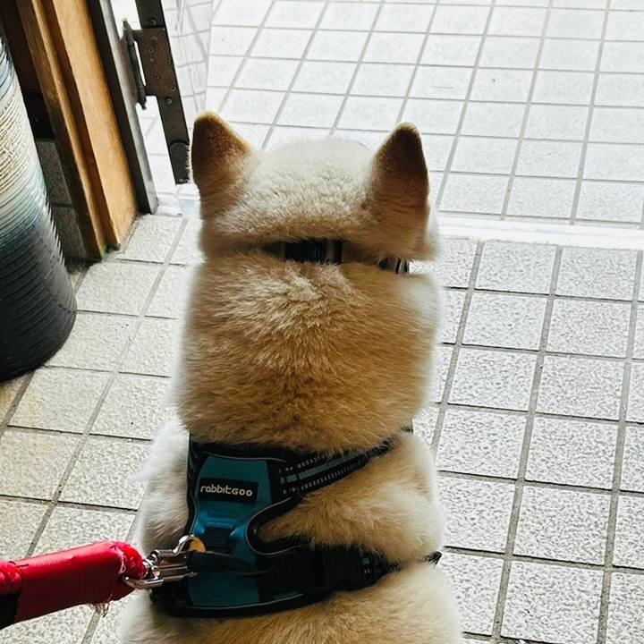 37b6284c 071e 42c0 9d0d 8f7a43acc1bb 1683332548740