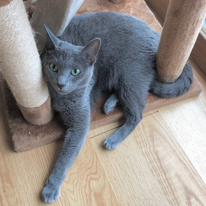 37b635fa 19d2 43aa ba2e 777d4480e2c4 1596521951787