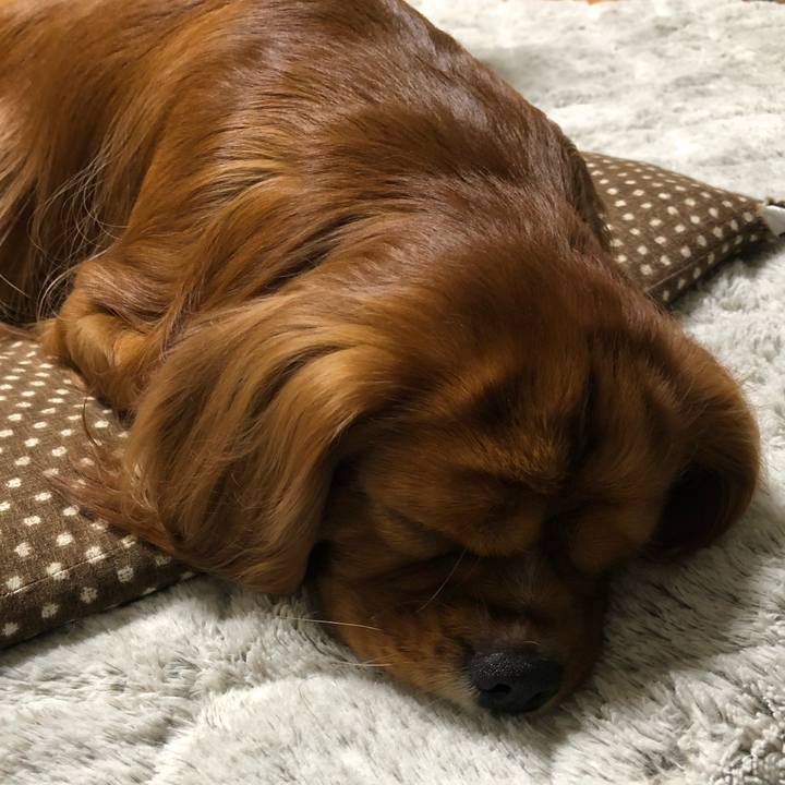 37b66f91 f2b5 46d3 a7c1 b673c7600c7e 1571868741015