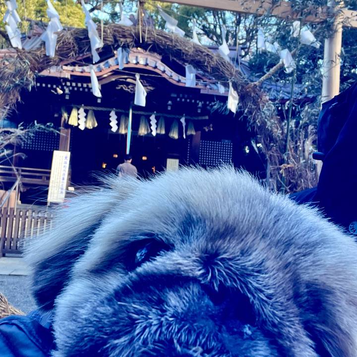 37b680a1 c4ca 4e2d a358 d9ec24c31a15 1766711756493